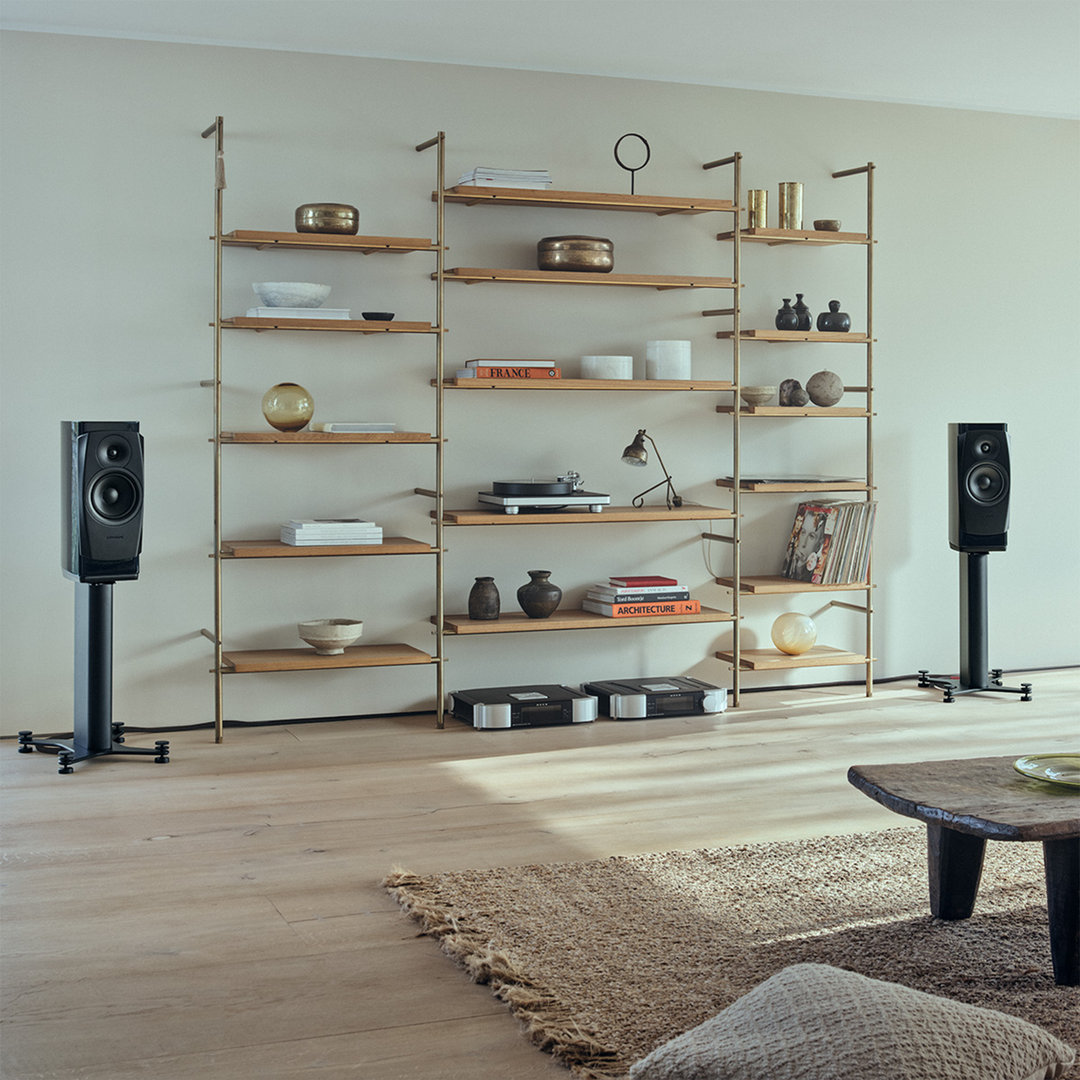Dynaudio Confidence 20i Standmount Loudspeakers &amp; Stands