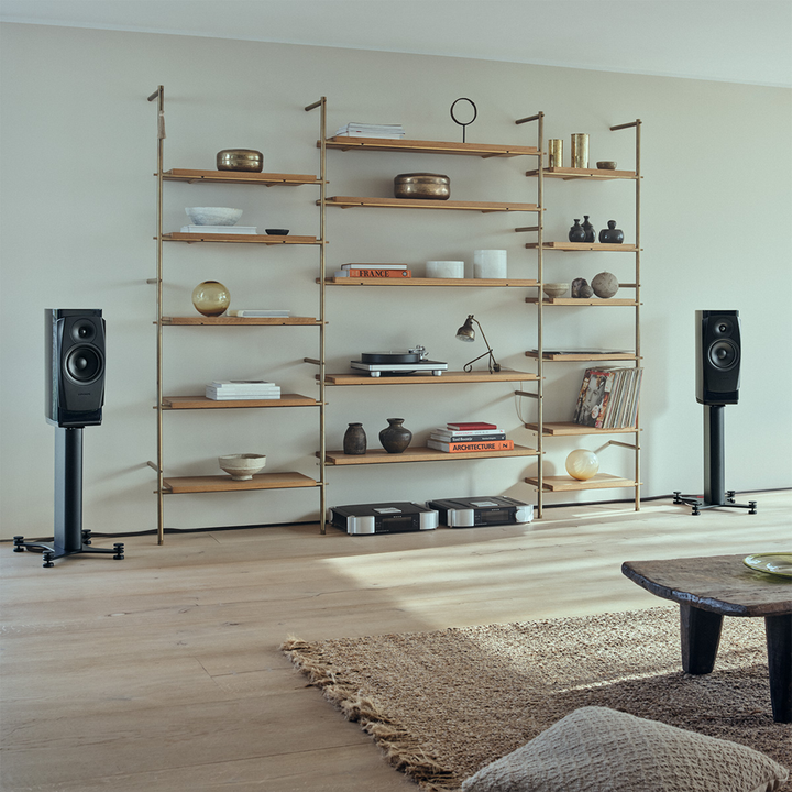 Dynaudio Confidence 20i Standmount Loudspeakers &amp; Stands