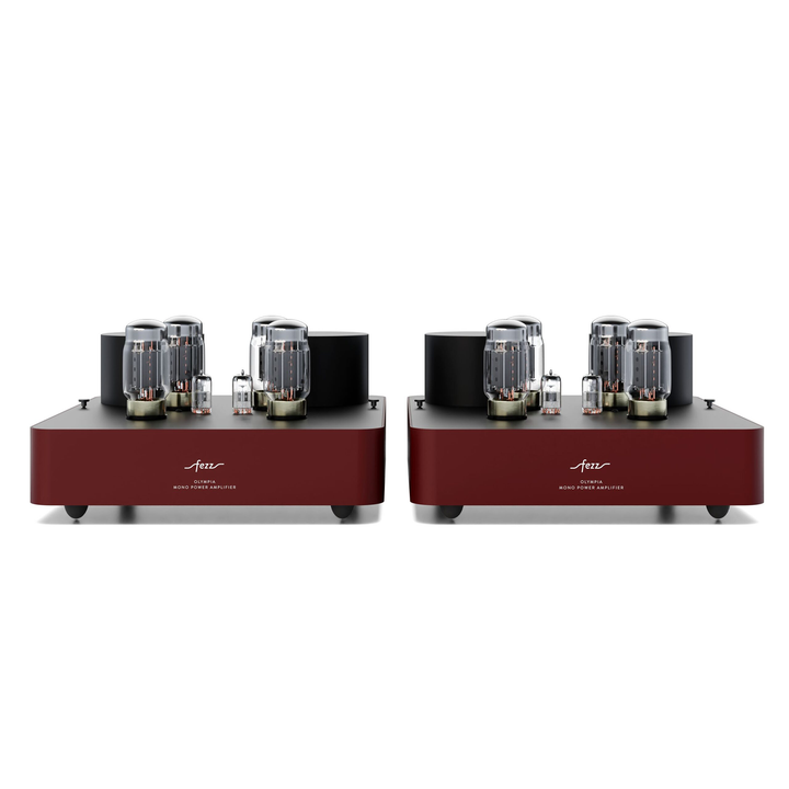 Fezz Olympia Mono Power Amplifier Pair