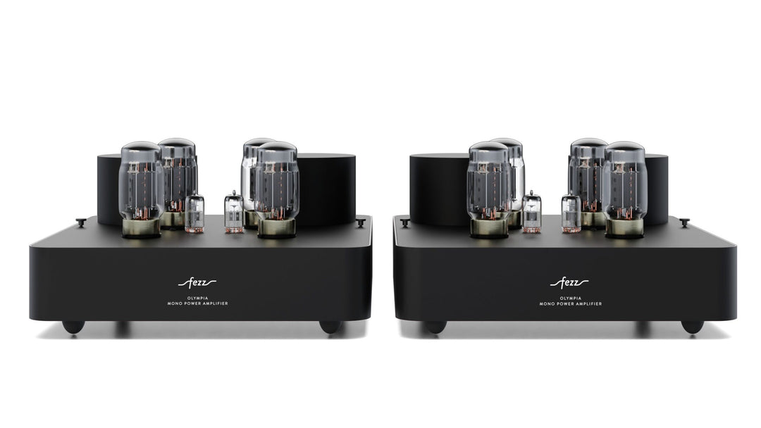 Fezz Olympia Mono Power Amplifier Pair