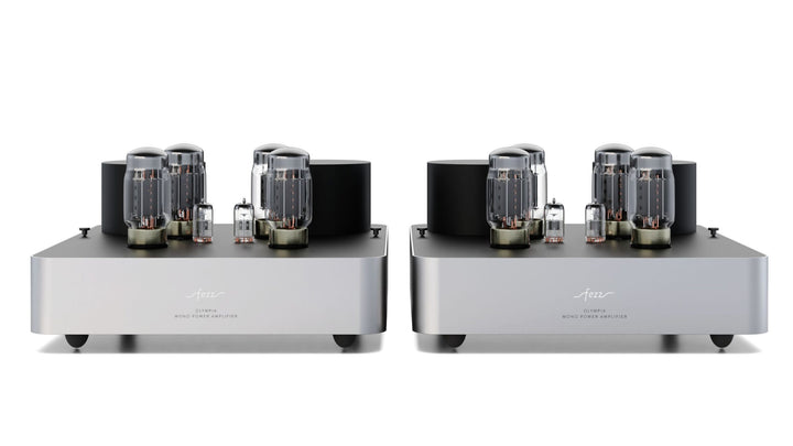 Fezz Olympia Mono Power Amplifier Pair