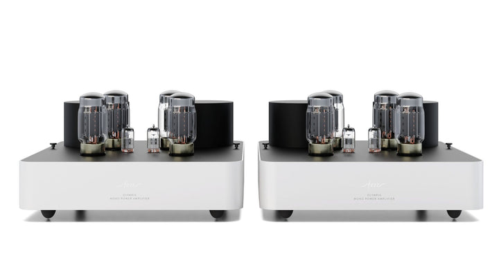 Fezz Olympia Mono Power Amplifier Pair