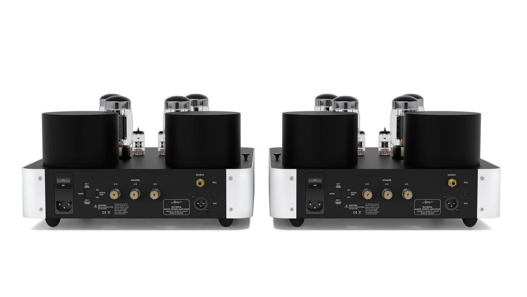 Fezz Olympia Mono Power Amplifier Pair