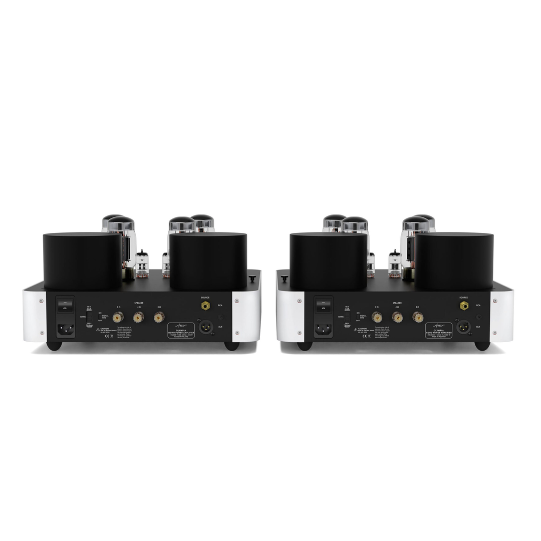 Fezz Olympia Mono Power Amplifier Pair