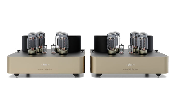 Fezz Olympia Mono Power Amplifier Pair