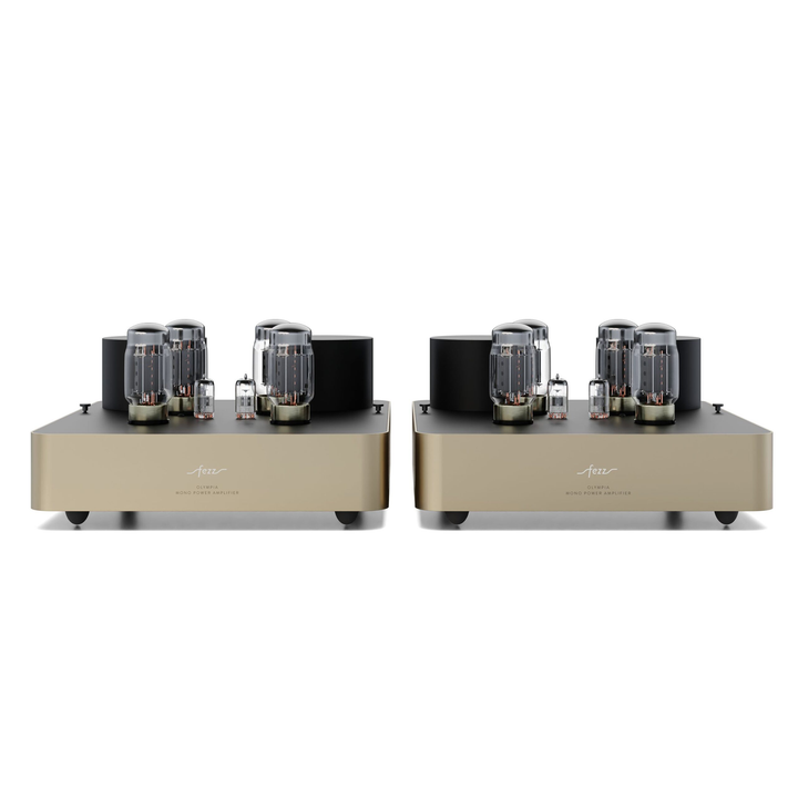Fezz Olympia Mono Power Amplifier Pair